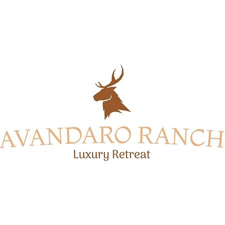 Romantic Luxury Retreat Hot Cold Pool & Sauna Wimberley Esterno foto